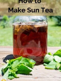 How to Make Sun Tea