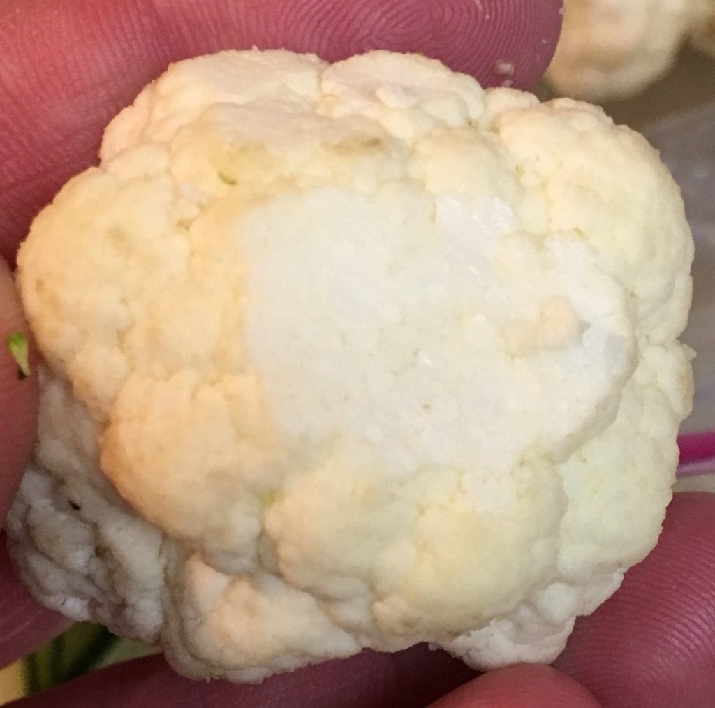 Cauliflower with brown spot removed