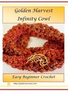 Golden Harvest Infinity Cowl 1