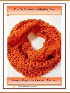 Pretty Pumpkin Infinity Cowl 1