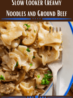 Slow Cooker Creamy Noodles and Ground Beef