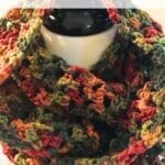 Beginner Friendly Fall Colors Infinity Cowl Pattern