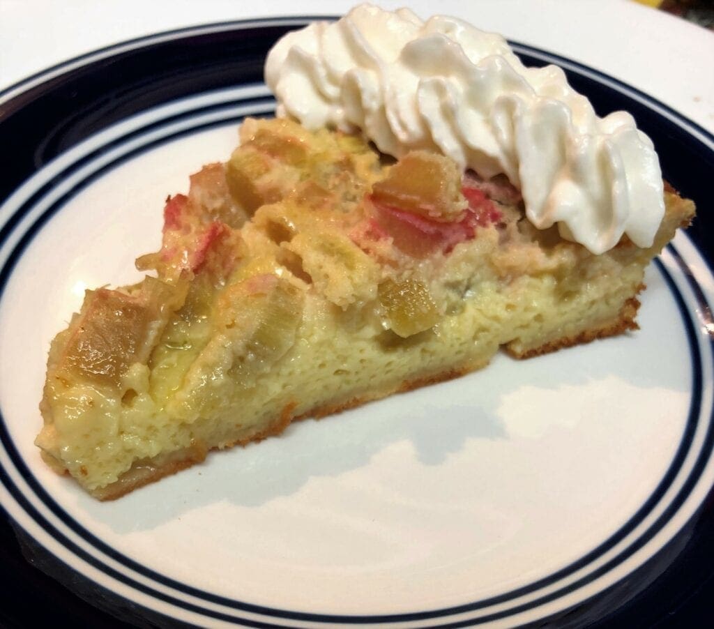 Slice of Rhubarb Custard Pie