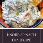 Knorr Spinach Dip Recipe Improved