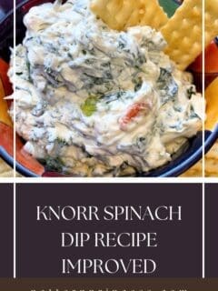 Knorr Spinach Dip Recipe Improved