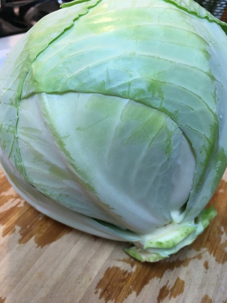 Fresh Head of Cabbage