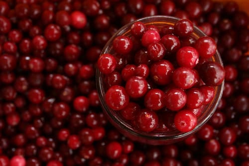 Fresh-Cranberries