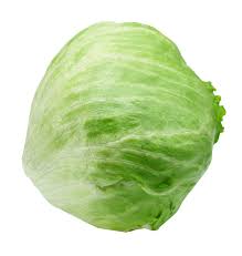 Ice Berg Lettuce