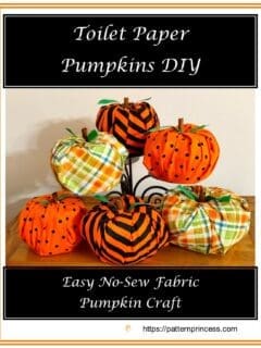 Toilet Paper Pumpkins DIY