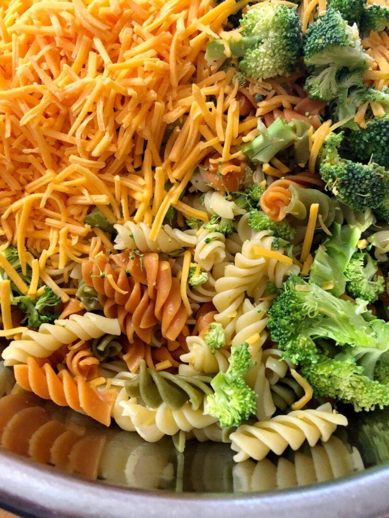 Pasta, Cheese, Broccoli, and Onion in Large Stainless Steel Bowl