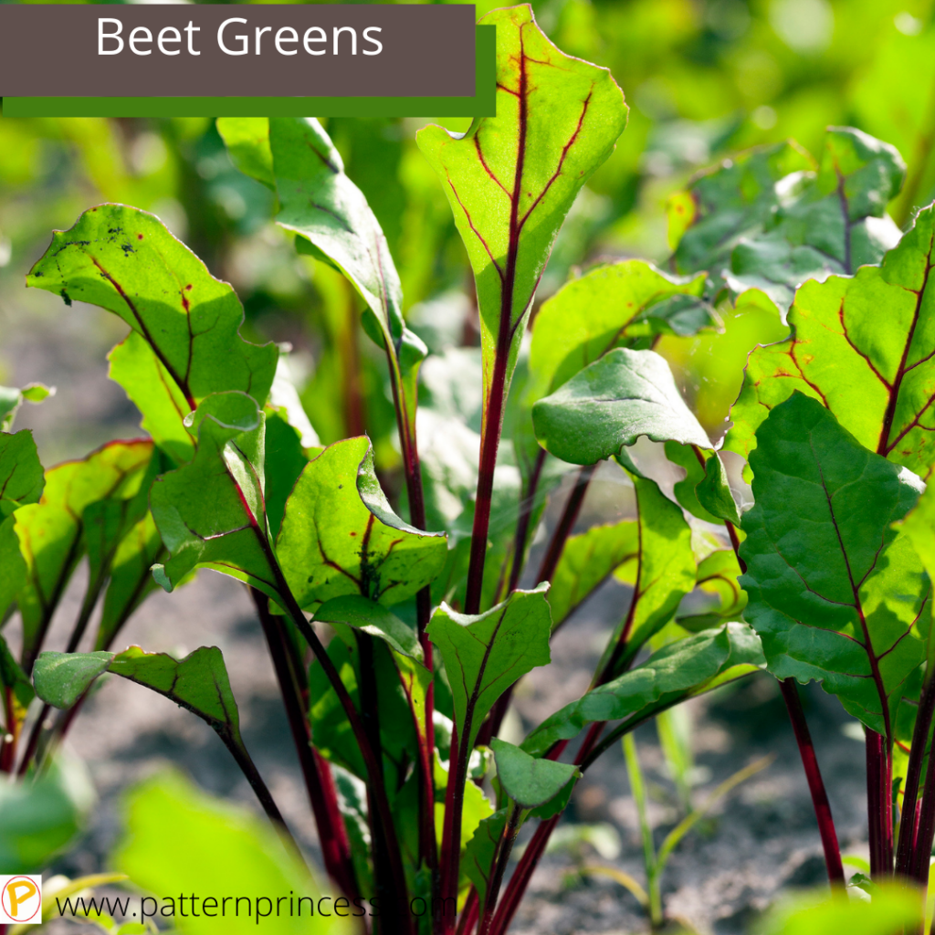 Beet Greens in the Garden