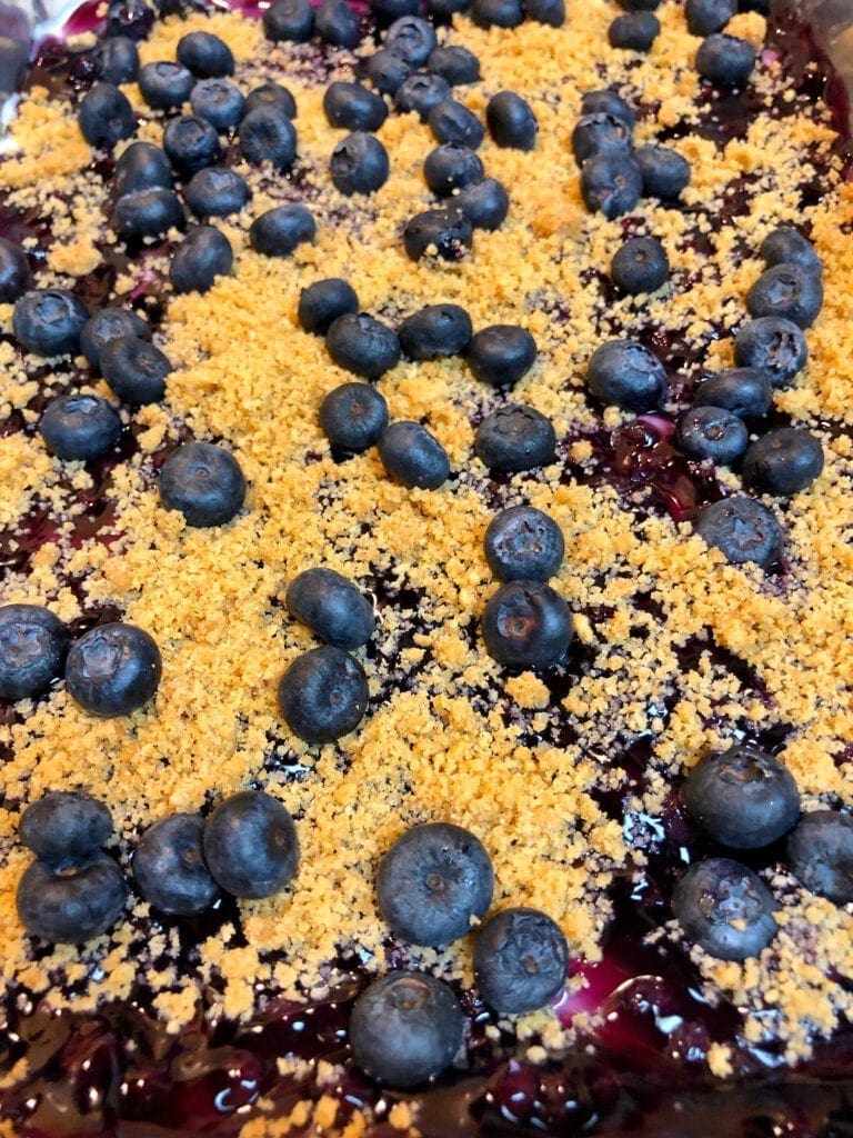 Blueberry Delight with Fresh Blueberries on Top