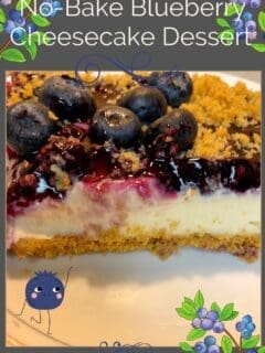 No-Bake Blueberry Cheesecake Dessert