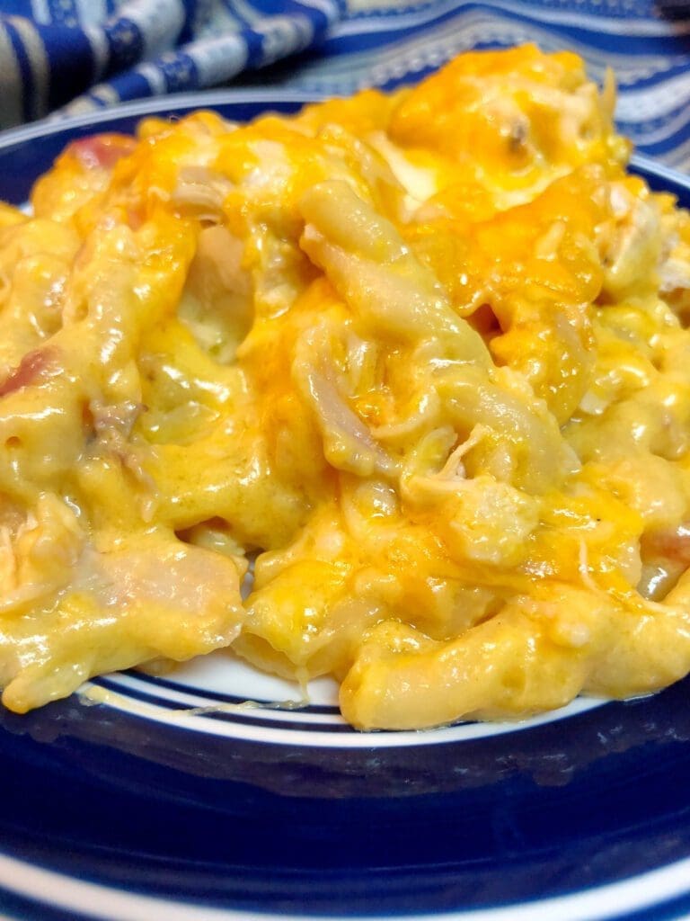 cheesy, chicken and pasta served Best Casserole Recipes - Easy Comfort Food