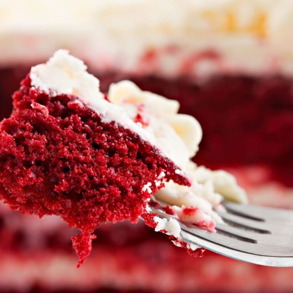 Enjoying a Piece of Dessert Cake