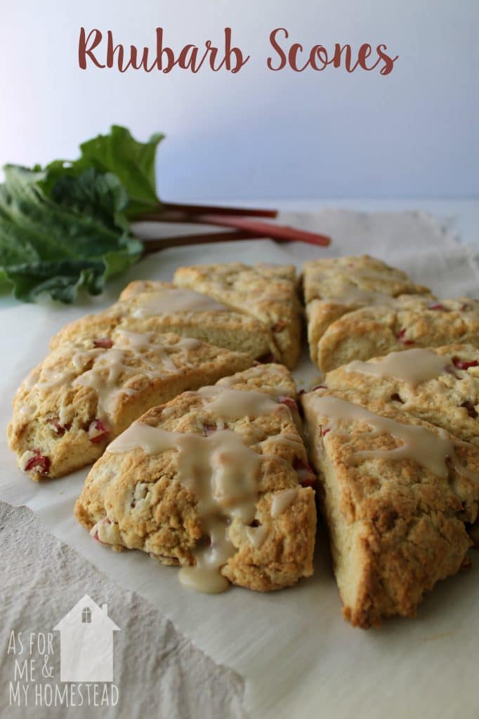 Rhubarb-Scones-asformeandmyhomestead