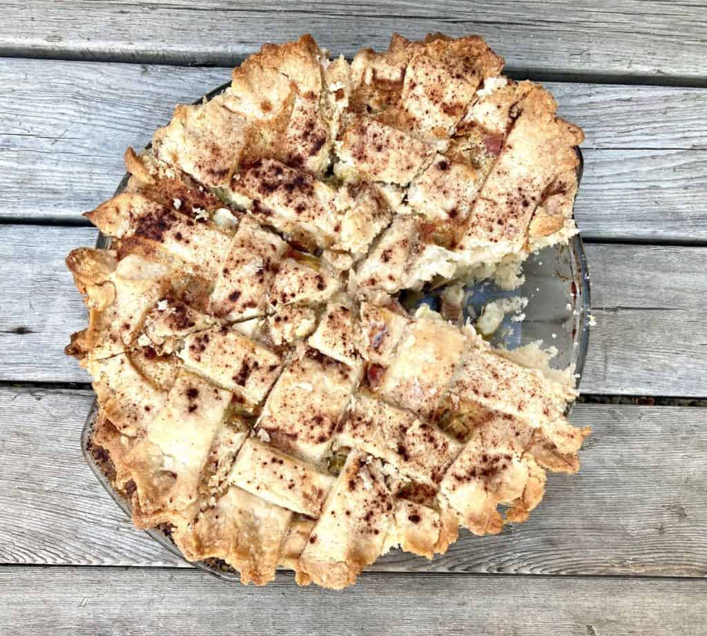 pie-rhubarb-with-slice-out-cedarbirchmusings