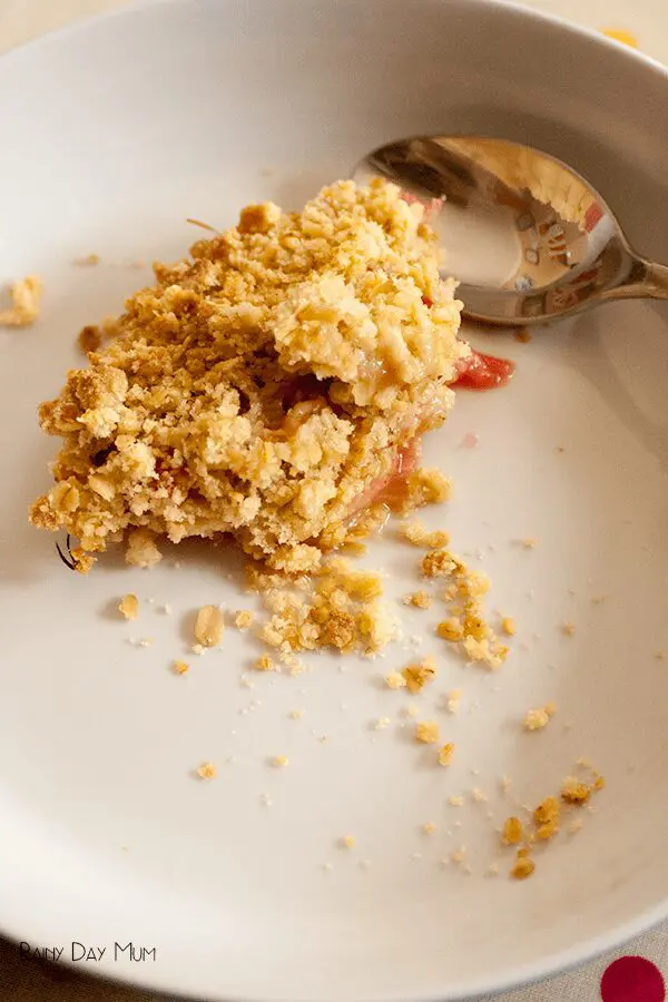 rhubarb-crumble-recipe rainydaymum