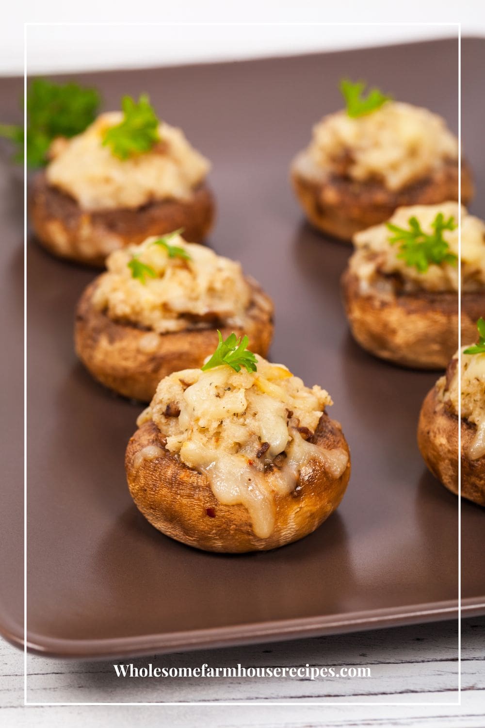 Stuffed Mushrooms with Parmesan Cheese