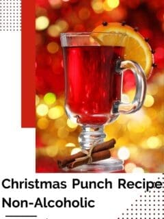 Christmas Punch Recipe Non-Alcoholic