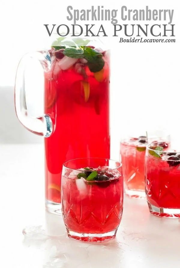 Sparkling-Cranberry-Vodka-Punch