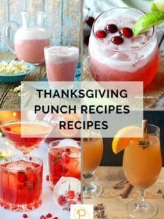 Thanksgiving Punch Recipes Recipes