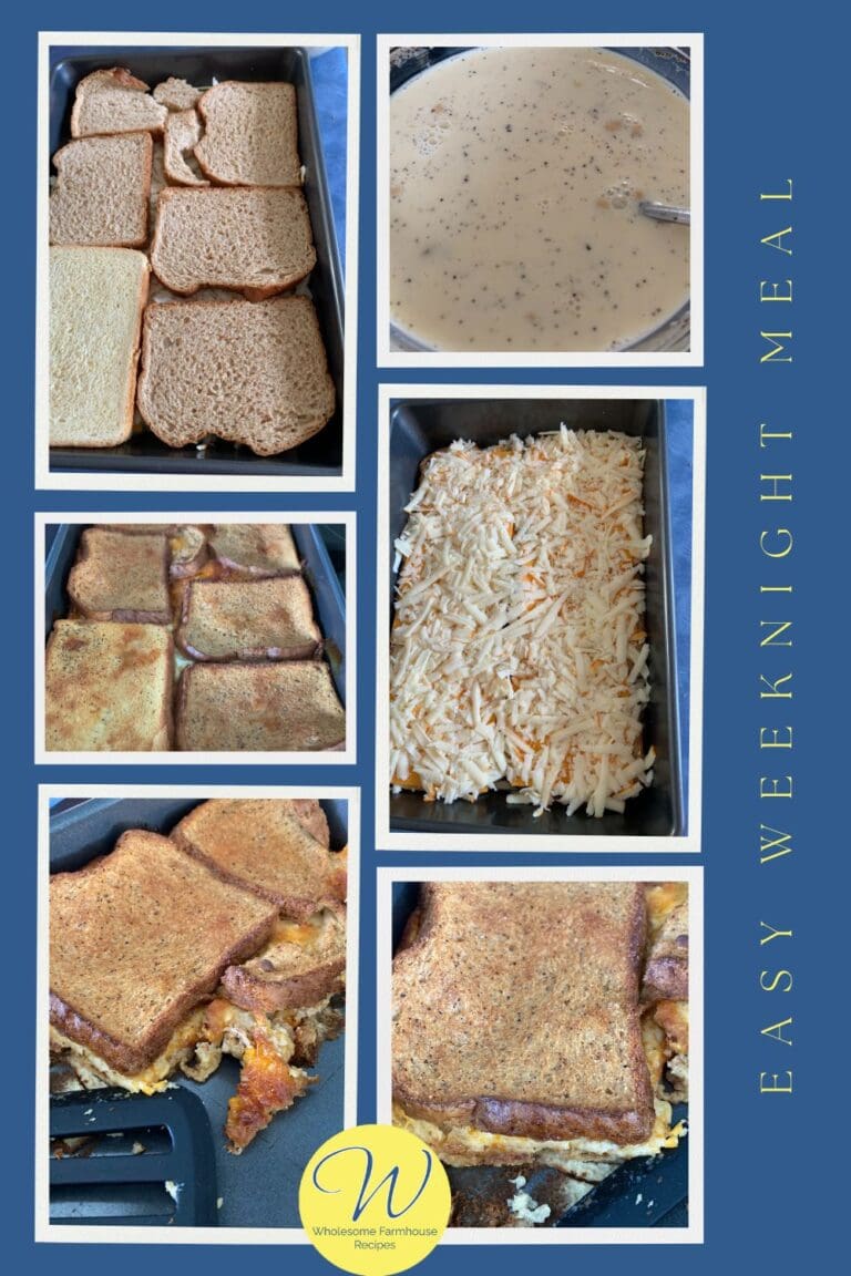 Easy-Weeknight-meal-cheese-sandwich