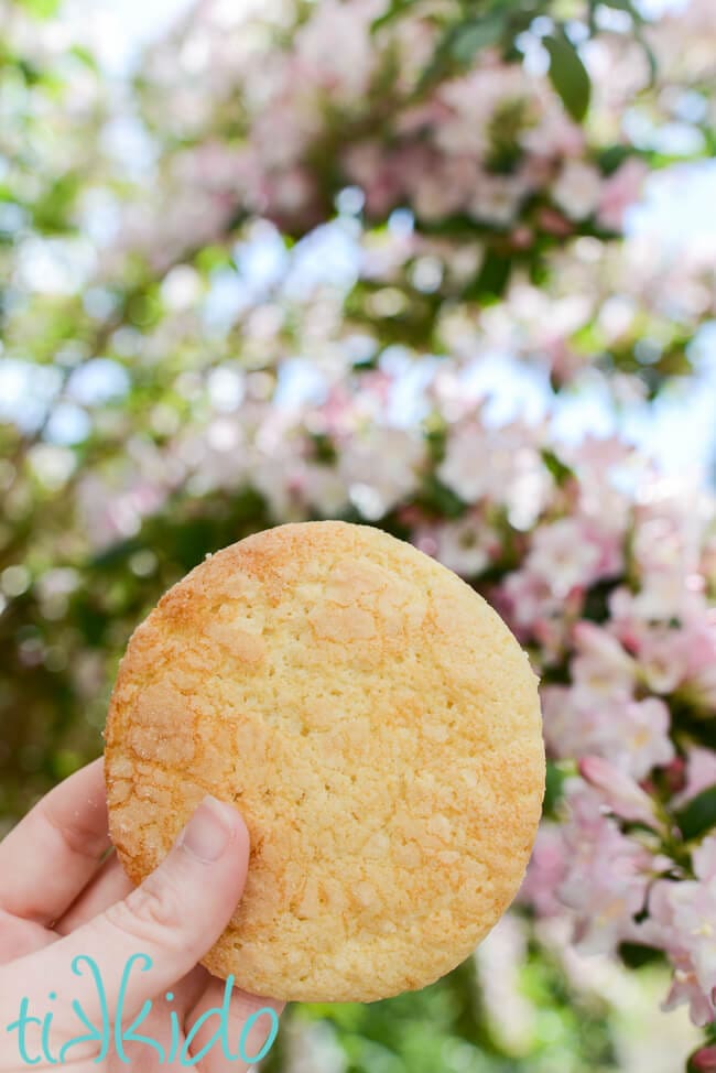 Soft Buttermilk Sugar Cookie Recipe