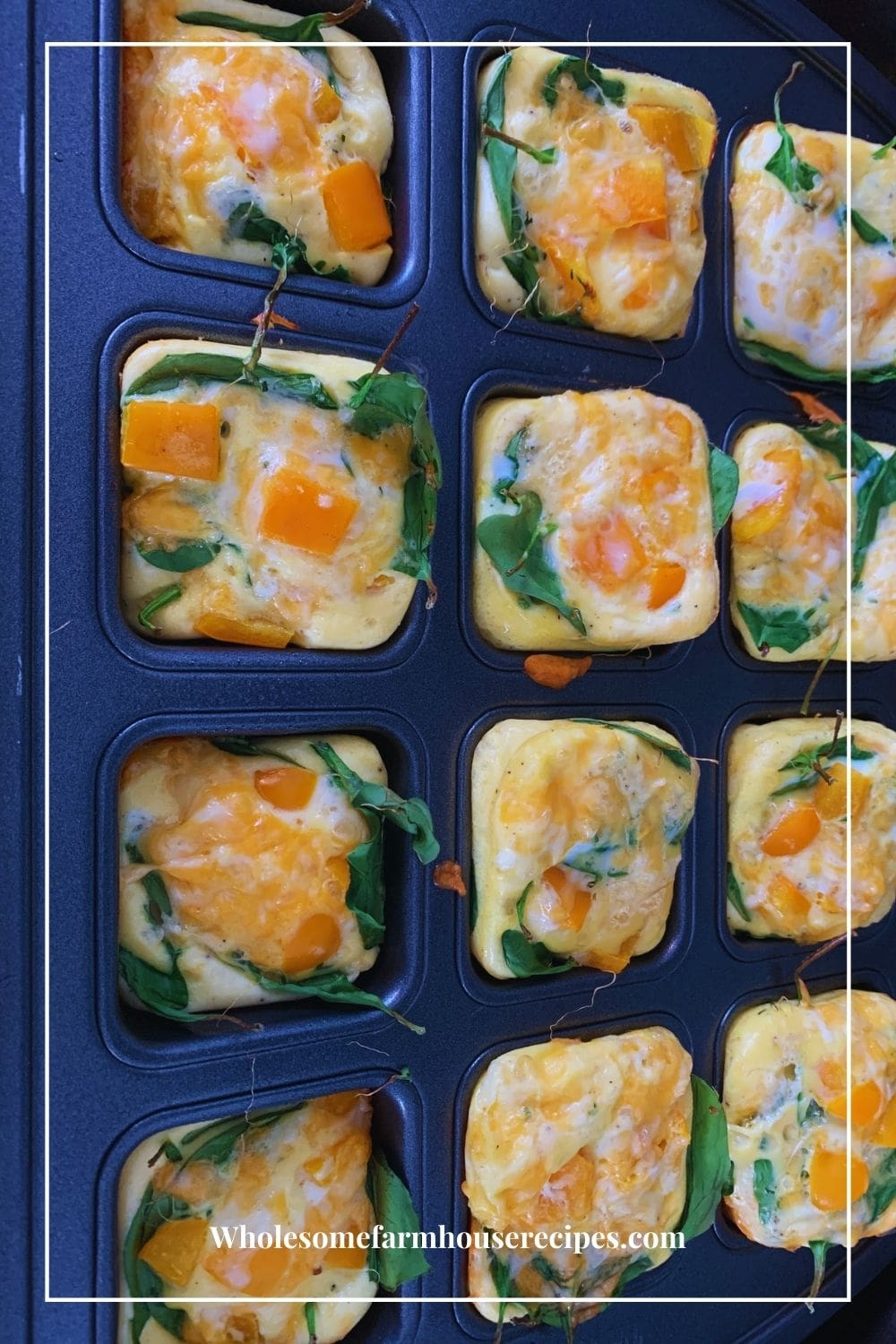 Healthy Egg Muffin Cups Easy Recipe