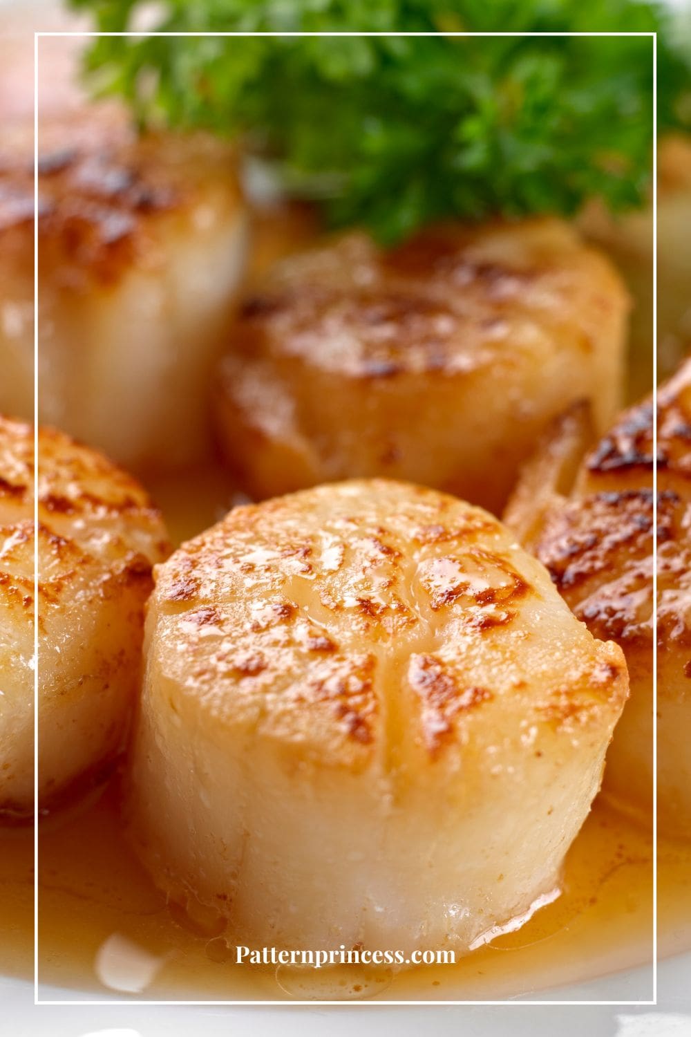 Easy Scallop Recipe