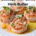 Quick Air Fryer Scallops with Garlic Herb Butter