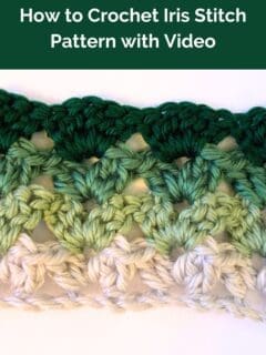 How to Crochet Iris Stitch Pattern with Video