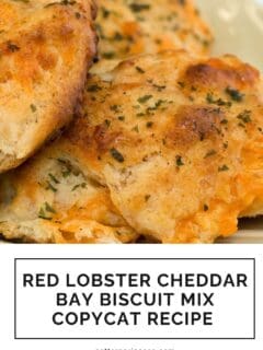 Red Lobster Cheddar Bay Biscuit Mix Copycat Recipe