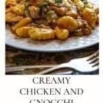 Creamy Chicken and Gnocchi Skillet Recipe