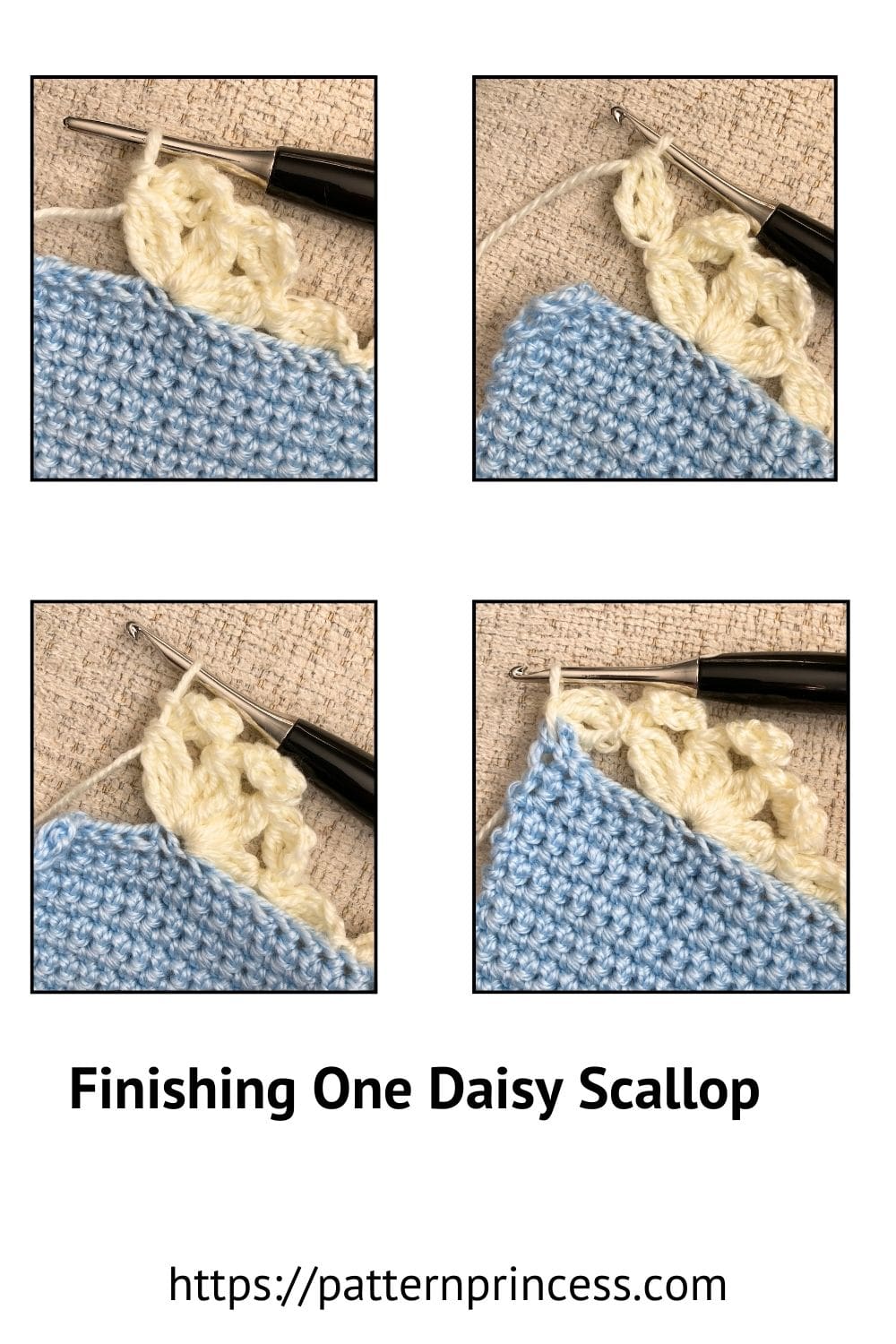 Finishing One Daisy Scallop