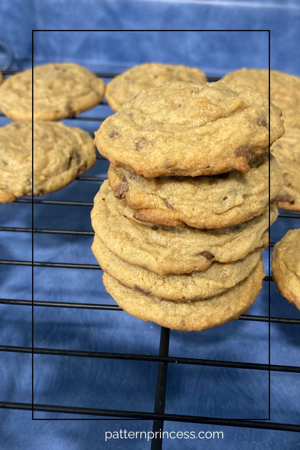 Vanilla Pudding Cookies Cooling