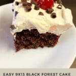 Easy 9x13 Black Forest Cake Recipe – A Decadent Dessert