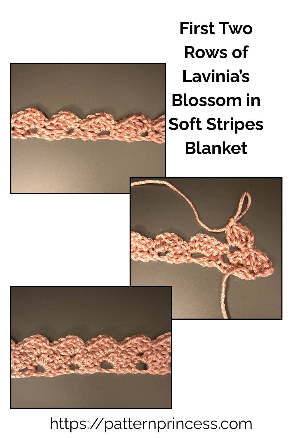 First Two Rows of Lavinia’s Blossom in Soft Stripes Blanket