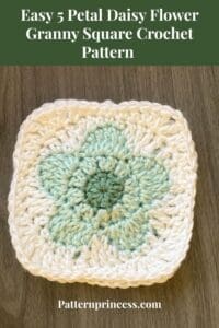 Easy 5 Petal Daisy Flower Granny Square Crochet Pattern