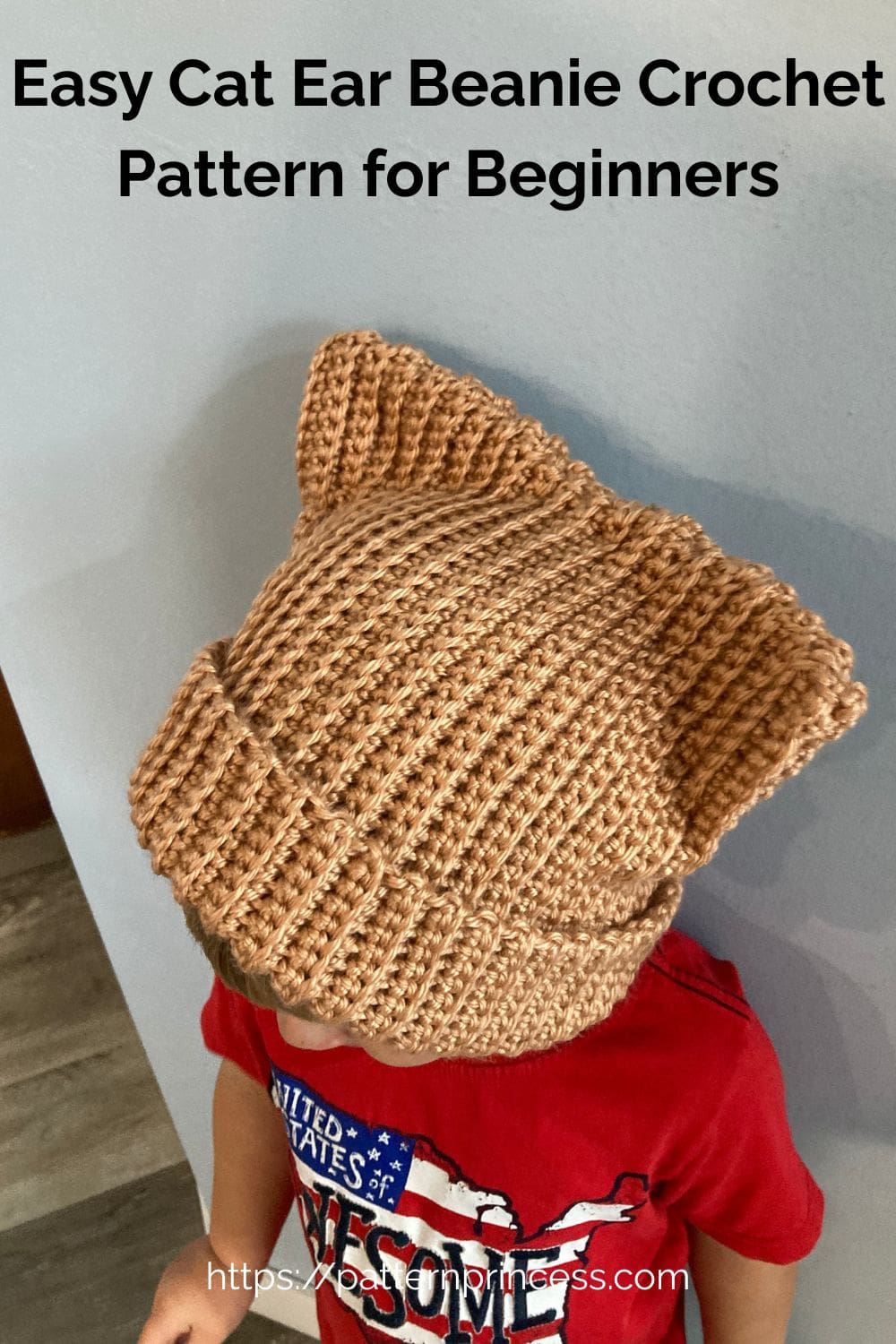 Easy Cat Ear Beanie Crochet Pattern for Beginners