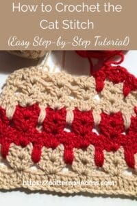How to Crochet the Cat Stitch (Easy Step-by-Step Tutorial)